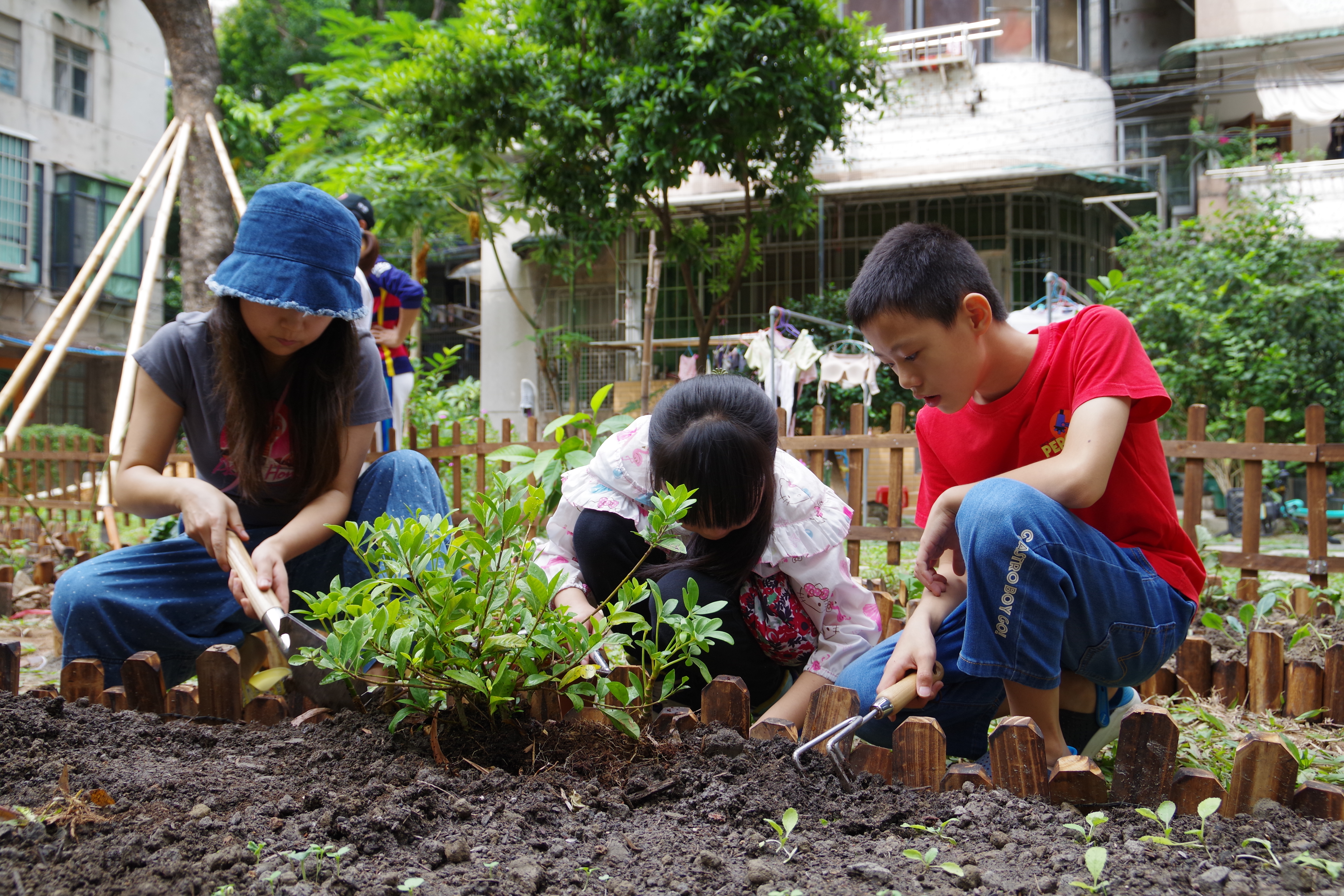 芒果体育手机版：视频｜广州海珠江南中街：“小花园”让幸福满格打开社区治理新方式 善治微光(图3)