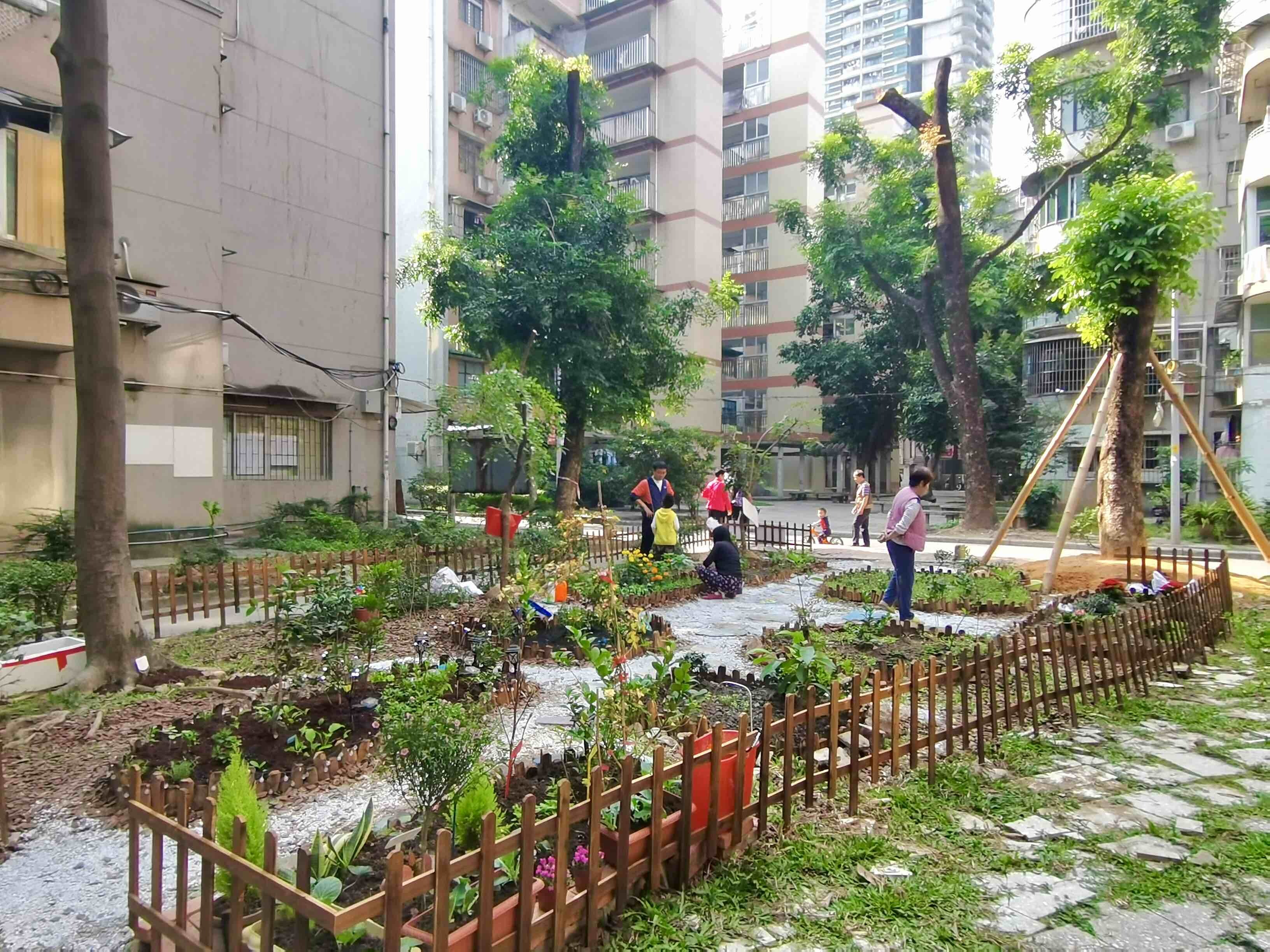 博鱼体育视频｜广州海珠江南中街：“小花园”让幸福满格打开社区治理新方式 善治微光(图6)