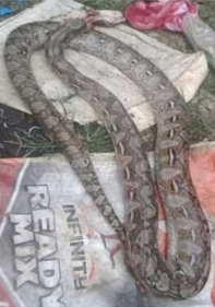 1703465311415.png 1703465311415.png