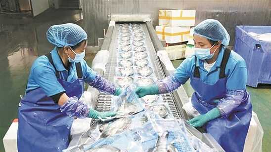 珠海农行：自觉践行服务“三农”初心使命 以“金融活水”助力“百千万工程” 