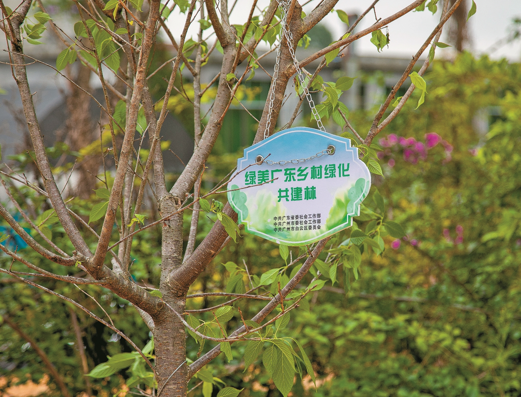 “绿美广东乡村绿化共建基地”在广州揭牌