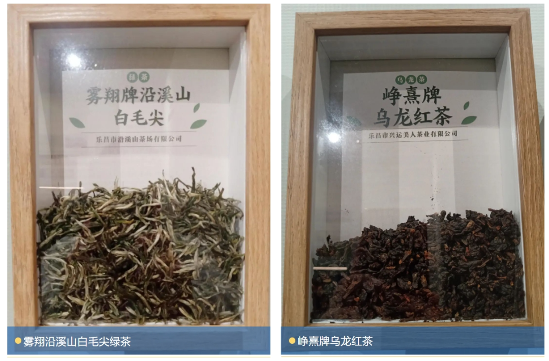 给世界一杯好开云官网茶(图15)