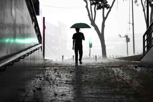 温度记丨本周广东闷热开“焗”，清明假期将重启降水