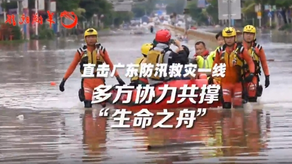 【视频】多方协力共撑“生命之舟”｜直击广东防汛救灾一线