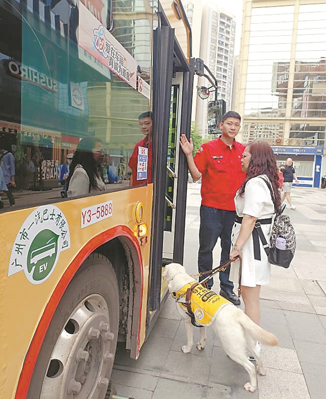 广州开放逾2100辆公交车供导盲犬上车学习