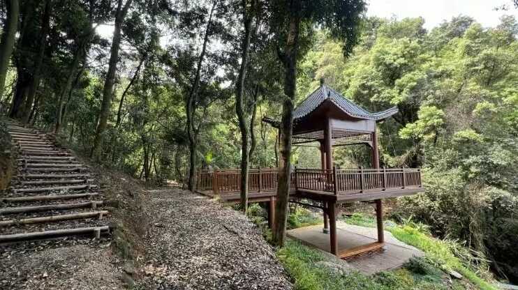 广州市帽峰山景区：第一条大径级森林文化步道将于“五一”开通