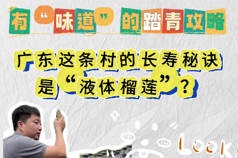 ​【视频】羊晚体验官带你走读广东百县千镇万村②：佛山三水长岐古村