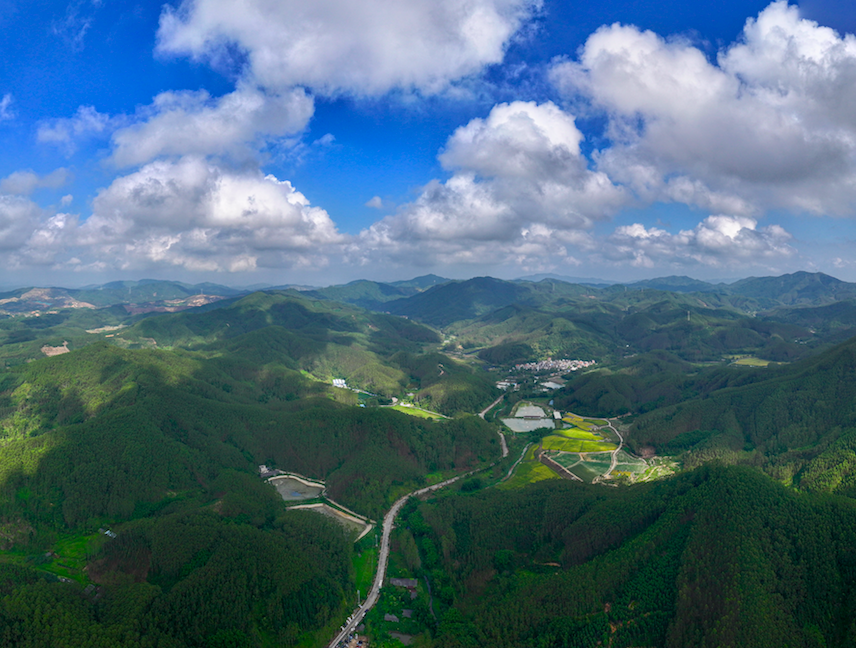 江门鹤山：增强县域经济造血功能，推动“百千万工程”落地落实