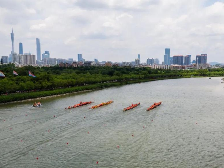 端午有龙舟漂移赛！海珠湿地龙船景周末开赛