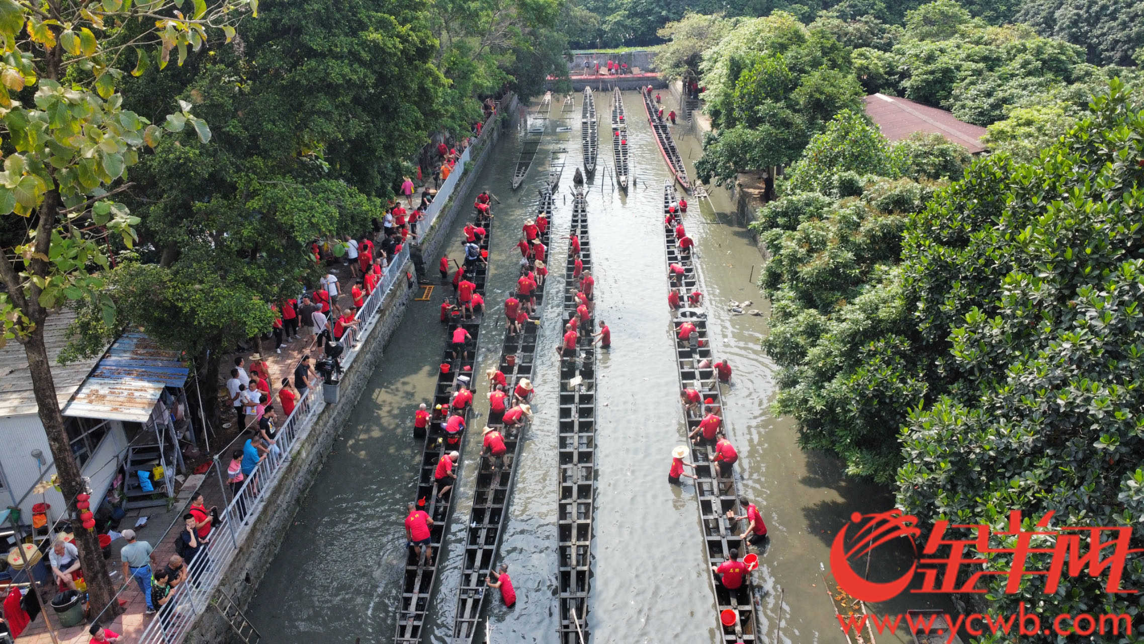 “到老表家洗龙船！”广州天河石牌8条龙舟在黄埔双岗村“起龙”