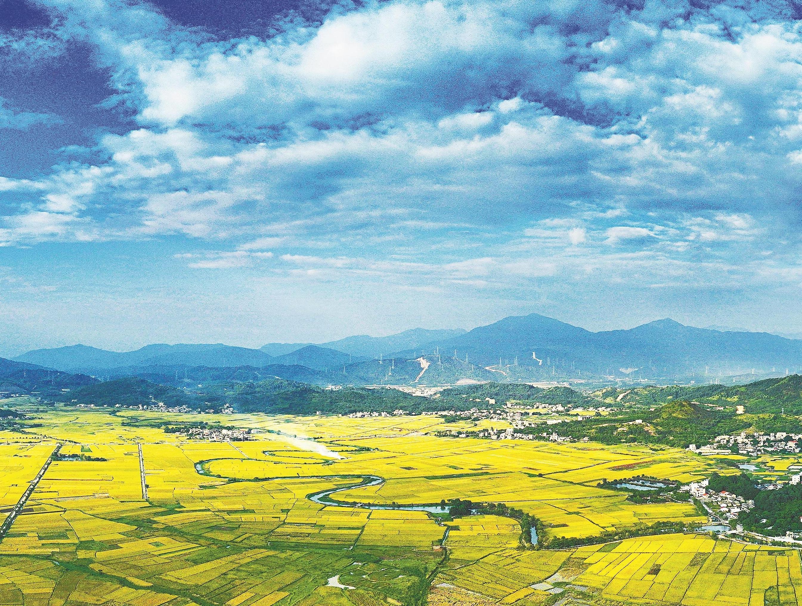 惠州：锚定千亿县 打造县镇村现代化建设样板 情系村村兴 构建居业游全方位发展格局