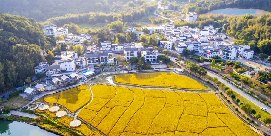  9月的第一场“秋游”：从广州从化的美丽乡村开始→