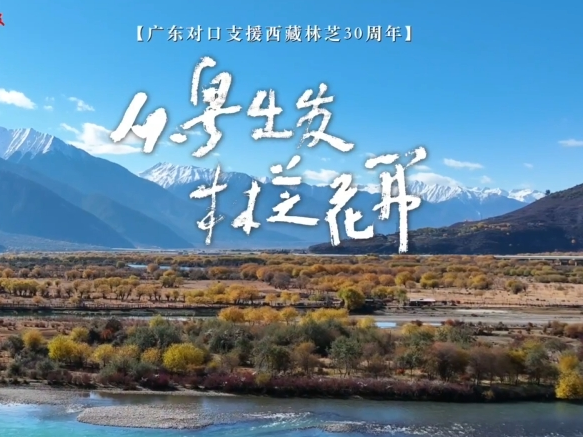   [Video] Starting from Guangdong, Linzhi Blossoms | The 30th Anniversary of Guangdong's Counterpart Support to Tibet Linzhi