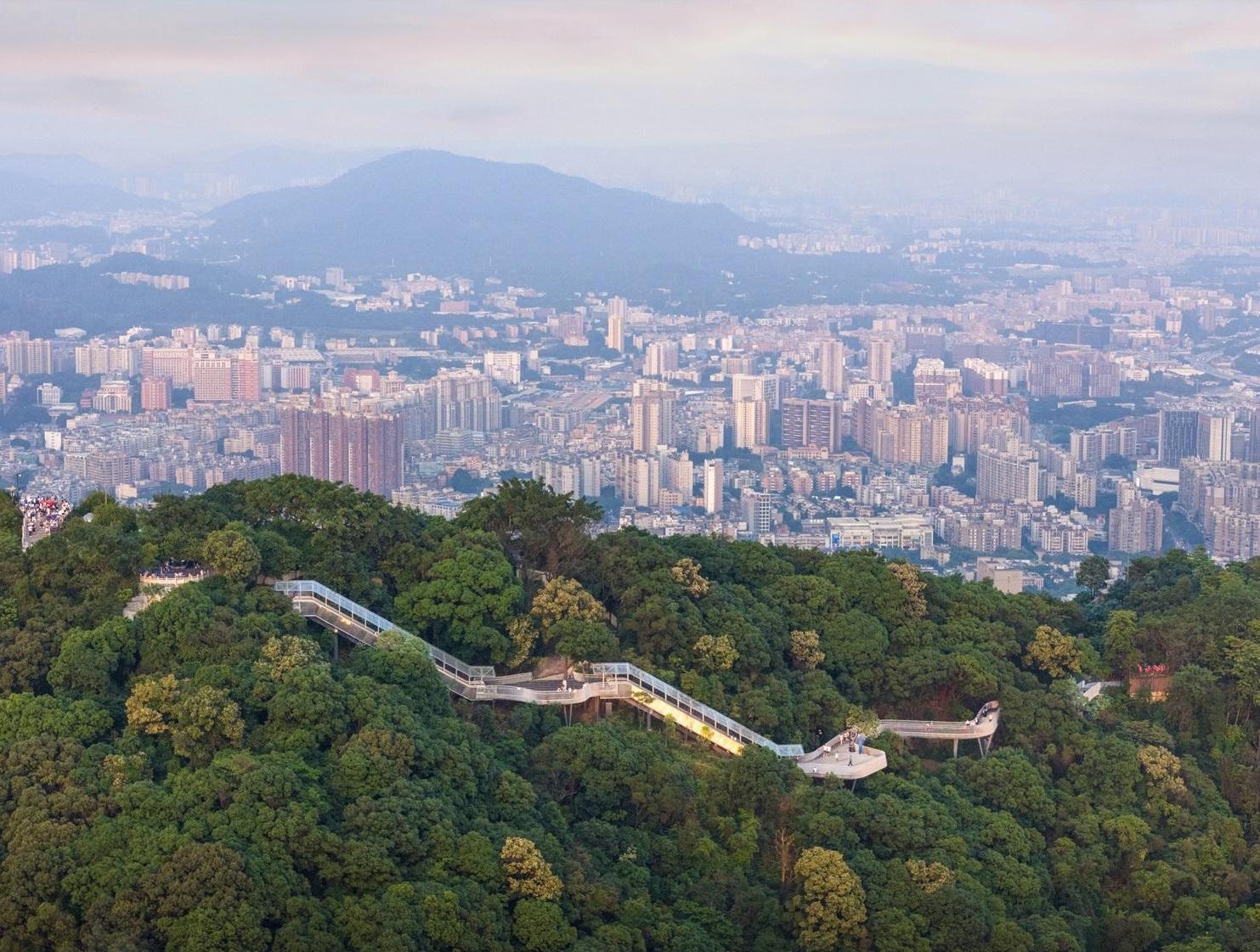   Flying white and practicing in the forest, protecting the king to go to Qingyun | A plank road and escalator, representing the quality of urban construction in Guangzhou