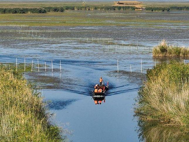   A bumper harvest of crabs