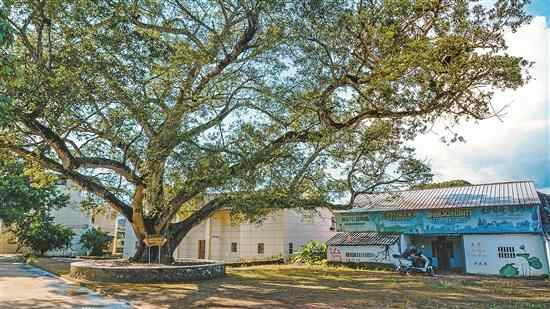 惠州梁化小禾洞村：从贫困村到示范村的“美丽逆袭”之路 