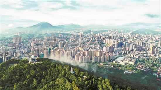 韶关武江：立足建区四十周年新起点，奋力开创高质量发展新局面 