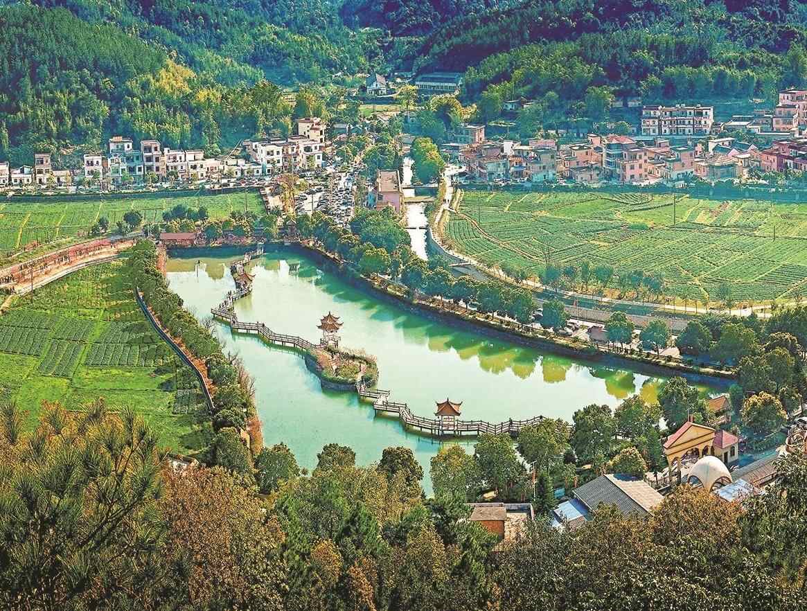 广州花都：绘就美丽新画卷 跑出振兴加速度 