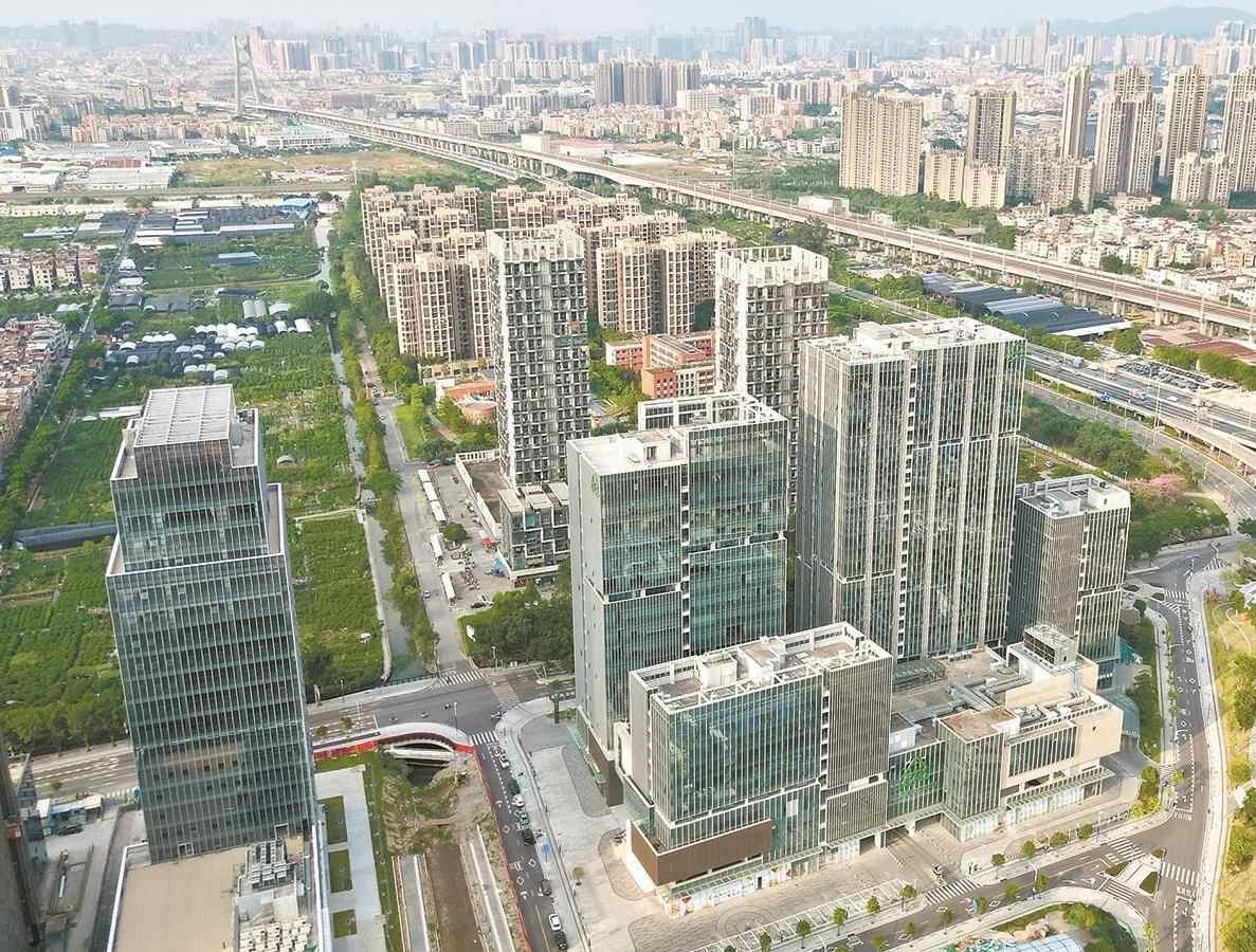 广州荔湾：聚“荔”改革绘新篇 厚植沃土强产业 