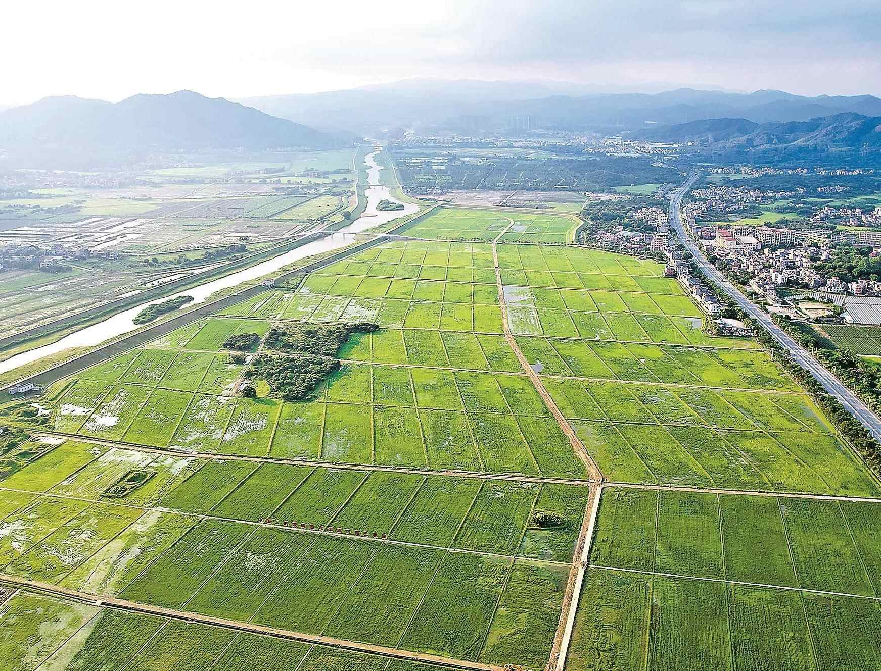 广东省自然资源厅  闲地引活水，小田变大田：广东蹚出国土空间治理“新路子” 