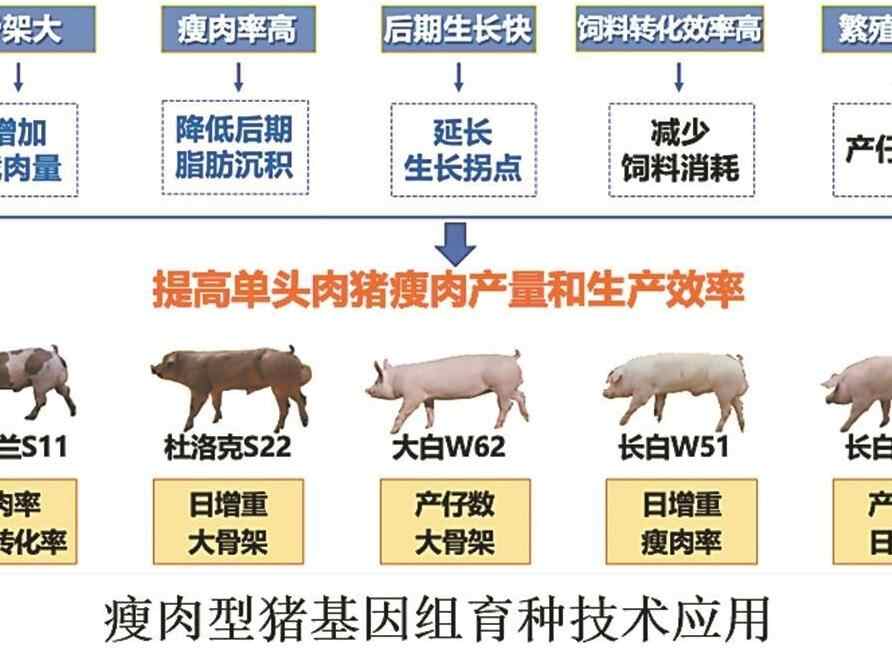 温氏股份：解决“卡脖子”难题 温氏一技术成果获广东省科技进步奖一等奖 