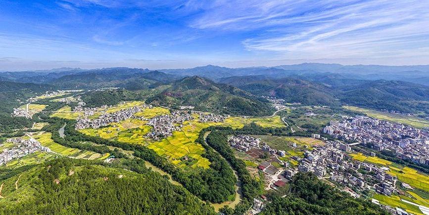  广西梧州：田园“丰”景如画