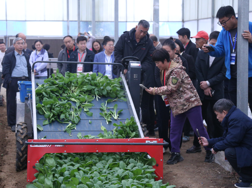 北京：蔬菜生产新装备新技术观摩交流活动成功举办