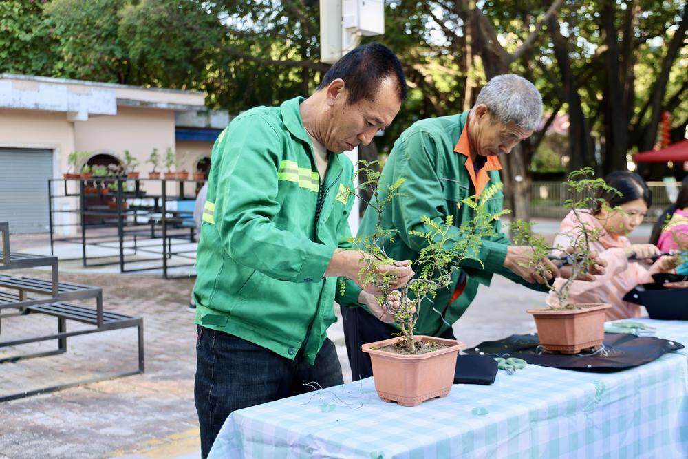 岭南盆景养护管理有何注意事项？广州醉观公园大师讲JN江南官网堂开讲(图4)