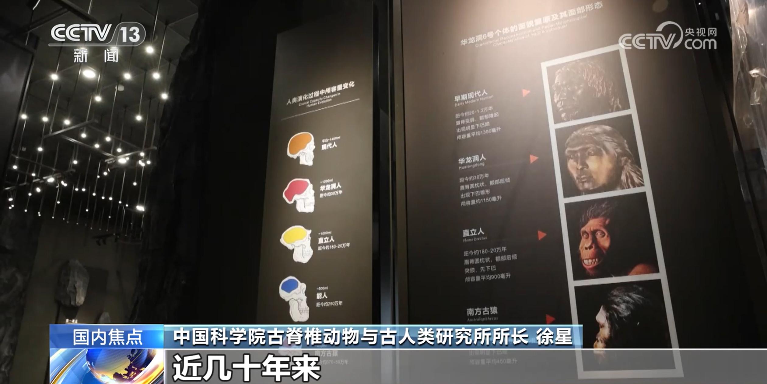 30万年前的古人类喜欢吃什么？动物化石出土揭示华龙洞人食谱