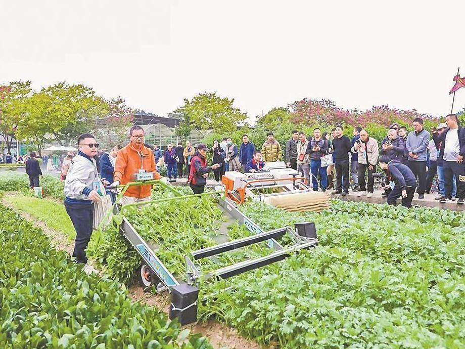 广东种业“大阅兵” 种质资源综合保存能力全国第一