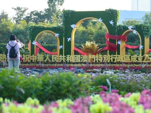 澳门回归25年，粤澳为何能成“最佳拍档”？