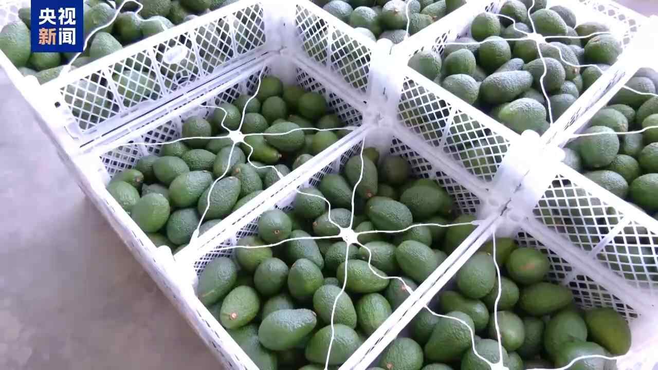 k8凯发国际入口|合乐888总代|总台记者探访丨“从钱凯到上