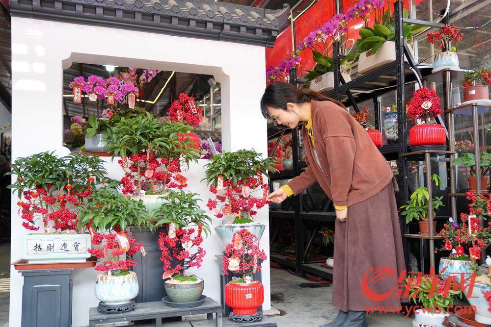 广州荔湾开启水陆花市盛宴“双花篮”将亮相传统迎美嘉体育官网春花市｜聚“荔”新发展⑮(图9)