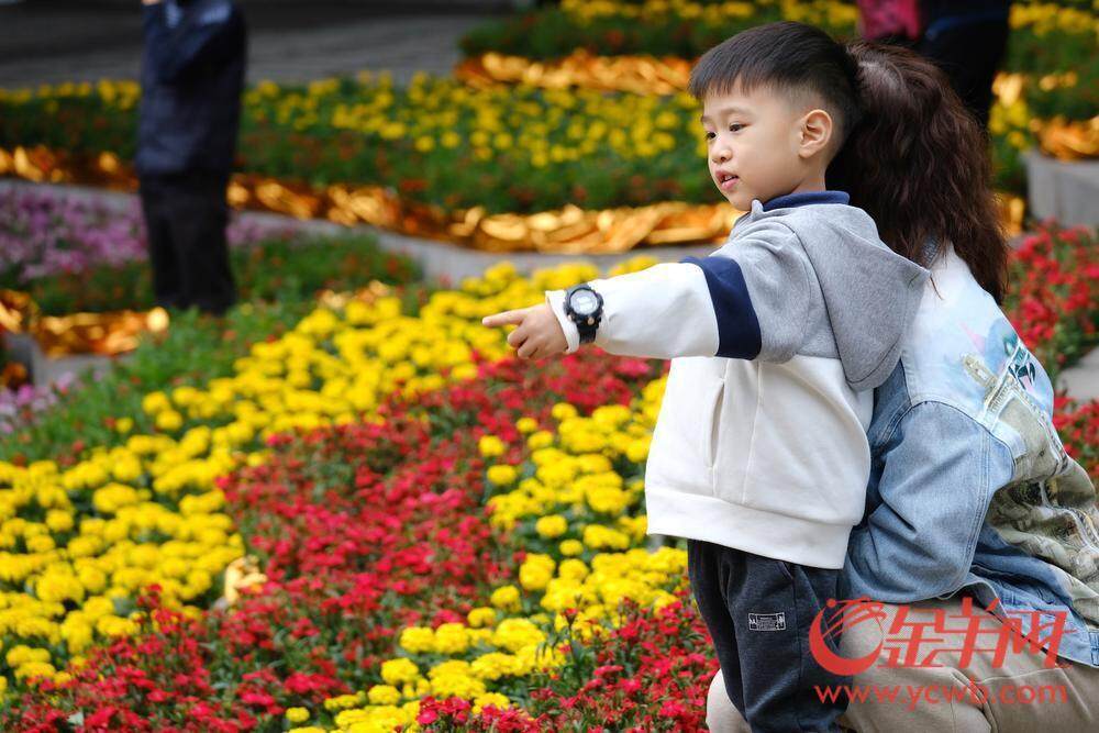 广州荔湾开启水陆花市盛宴“双花篮”将亮相传统迎美嘉体育官网春花市｜聚“荔”新发展⑮(图7)