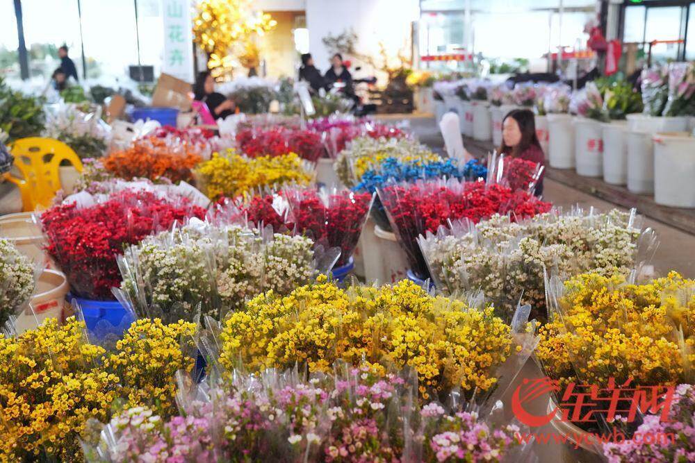 广州荔湾开启水陆花市盛宴“双花篮”将亮相传统迎美嘉体育官网春花市｜聚“荔”新发展⑮(图11)