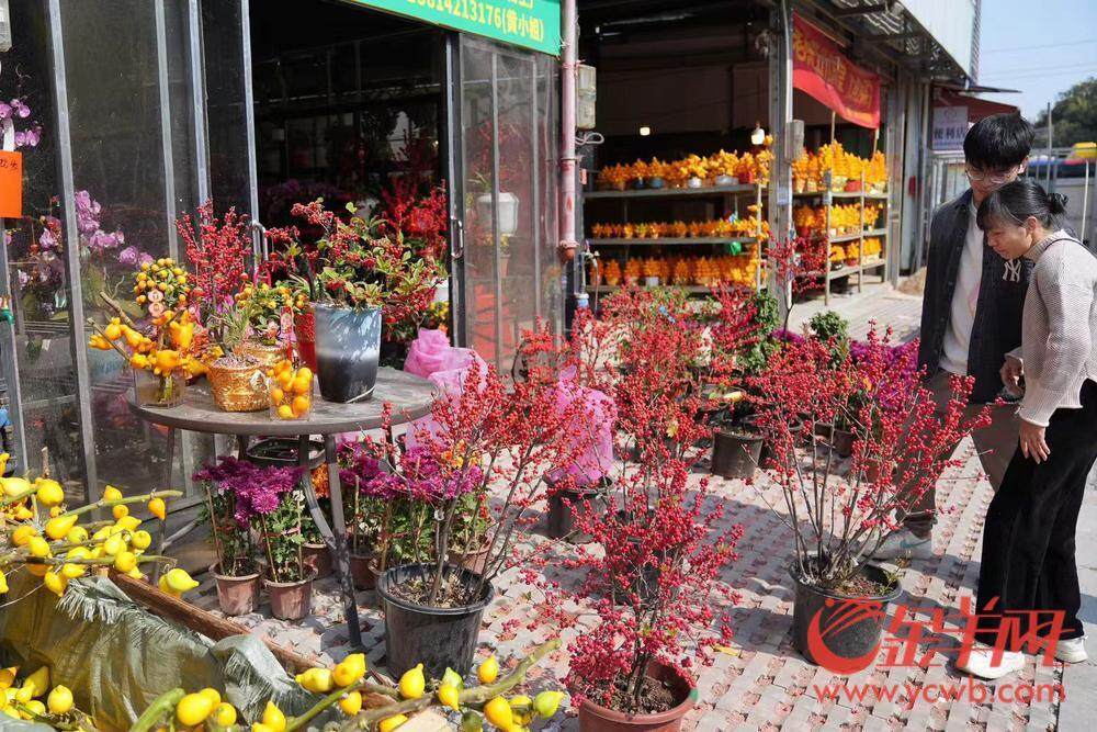 广州荔湾开启水陆花市盛宴“双花篮”将亮相传统迎美嘉体育官网春花市｜聚“荔”新发展⑮(图10)