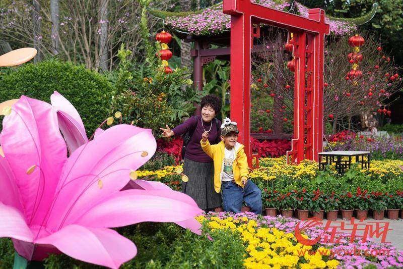 图集｜“水陆空”年味齐放广州荔湾邀你共赏永不落幕花市盛宴一竞技官网(图5)