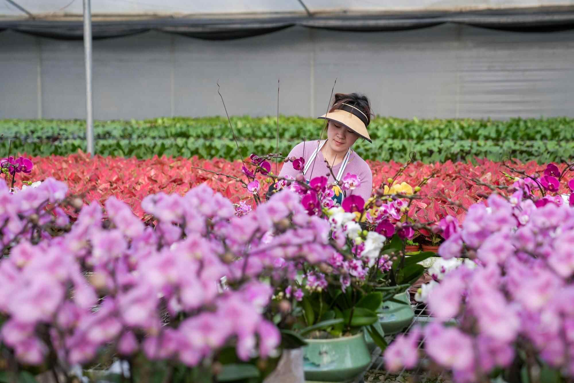 中宣部要求各地各新闻单位精心组织开展2025年“新春走基层”活动