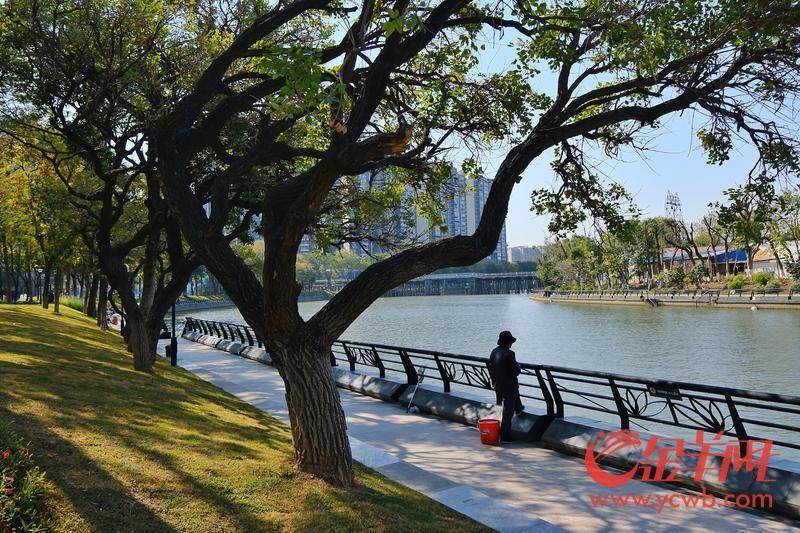 欧博体育图集｜建设美“荔”生态廊道擦亮城市幸福底色｜聚“荔”新发展⑯(图4)