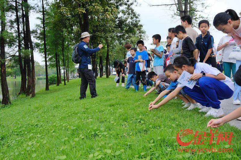 欧博体育图集｜建设美“荔”生态廊道擦亮城市幸福底色｜聚“荔”新发展⑯(图3)