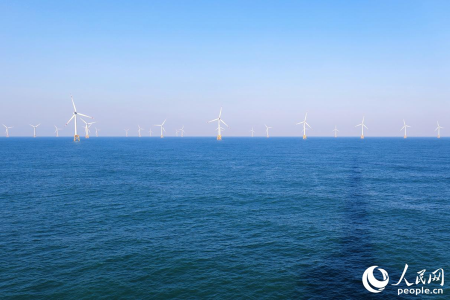 新春走基层｜出海！修“风车”