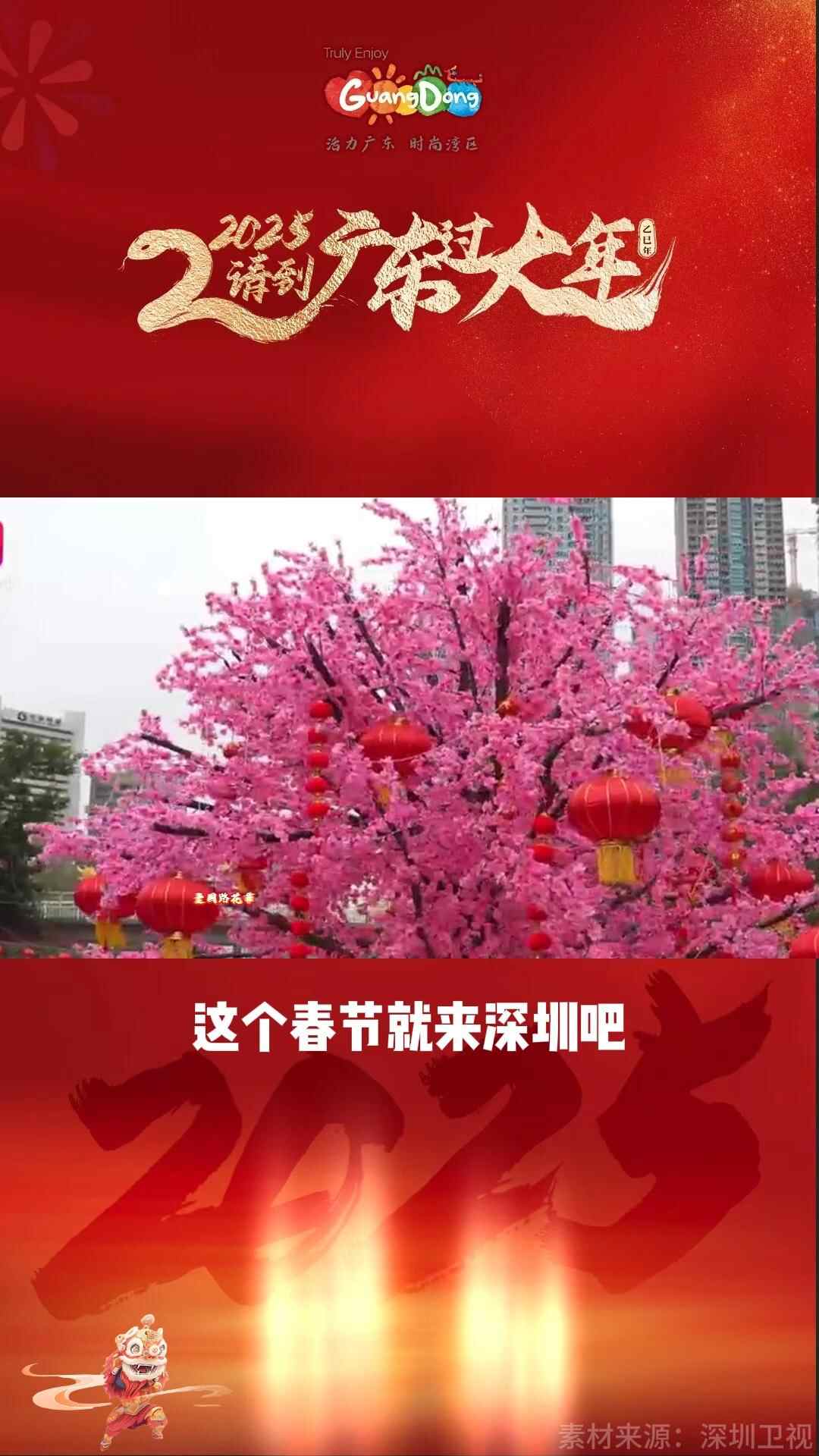 ​烟火与科技共绽，“圳” 年味拉满 | 请到广东过大年