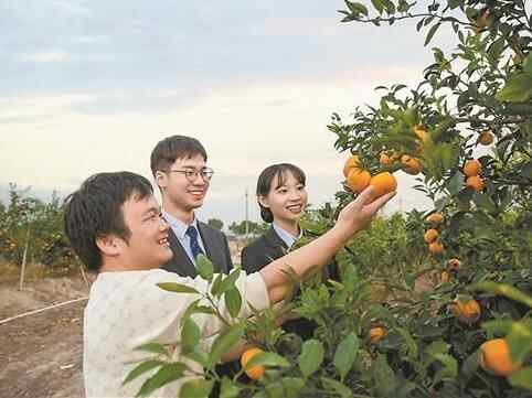 农行广东分行：践行使命担当，奔赴高质量发展新征程 