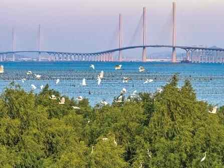 江门：“双通道”上一路快跑 城市发展永不停步 