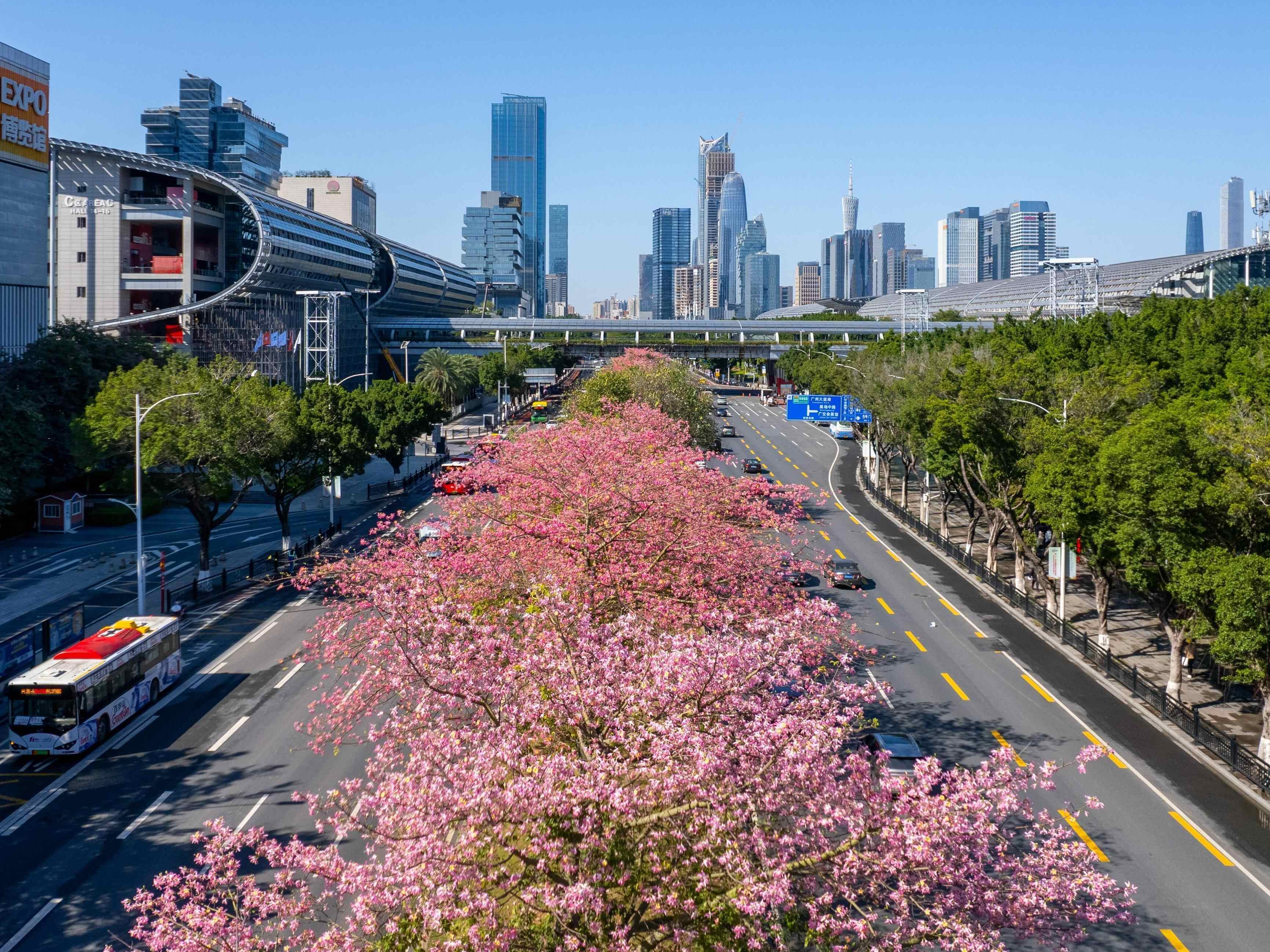 广州市生态环境局：打造美丽城市样板 激活广州绿色发展 