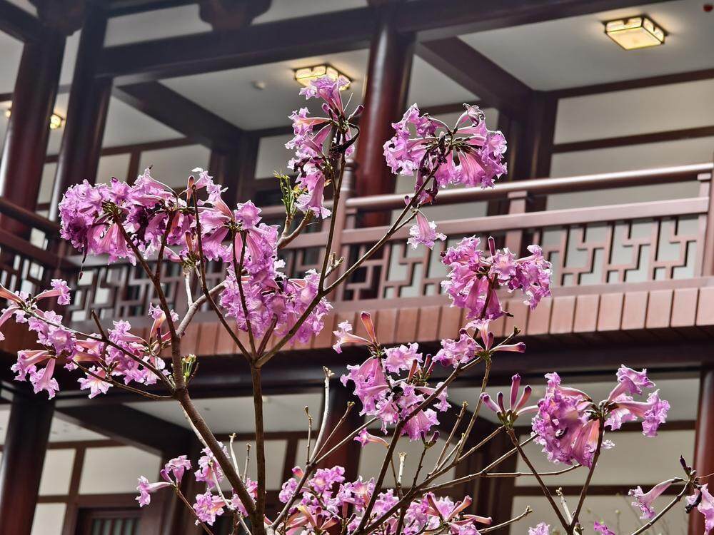 传承岭南园林文化广州增城百花古寺2月16日正式落成高德娱乐登录(图3)