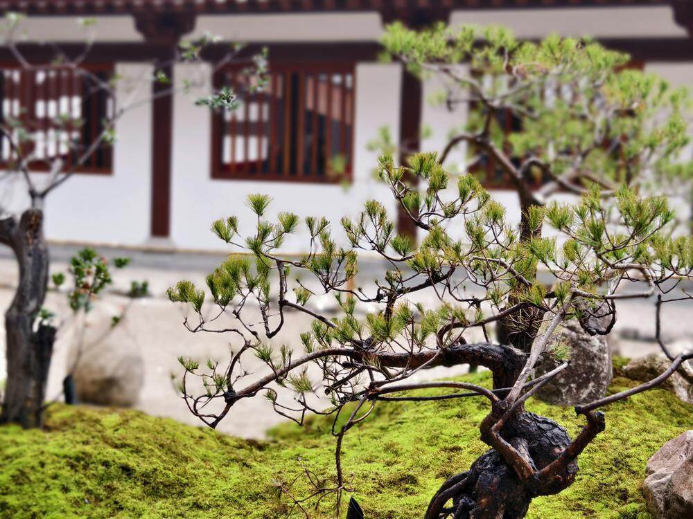 传承岭南园林文化广州增城百花古寺2月16日正式落成高德娱乐登录(图4)