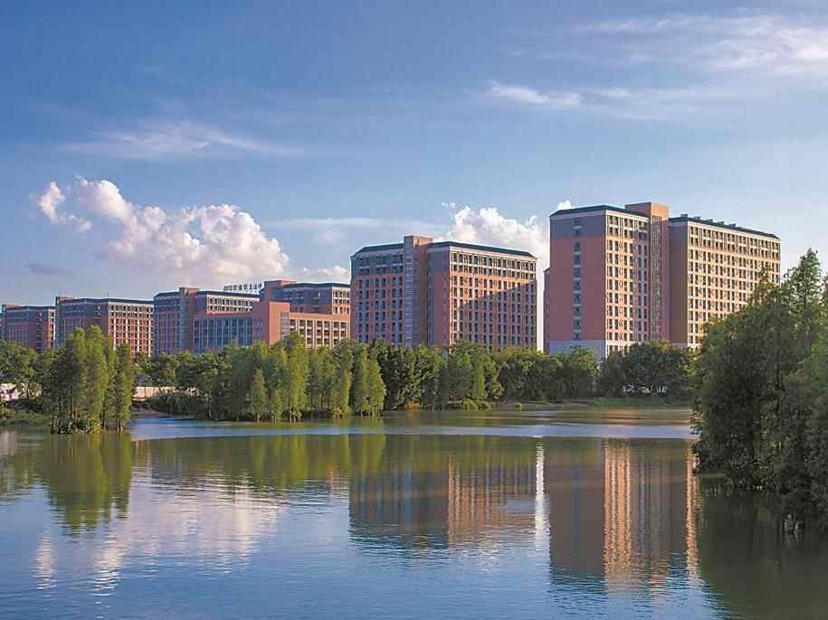 二十载新华逐梦，大湾区产教领航——广州新华学院书写办学新篇 