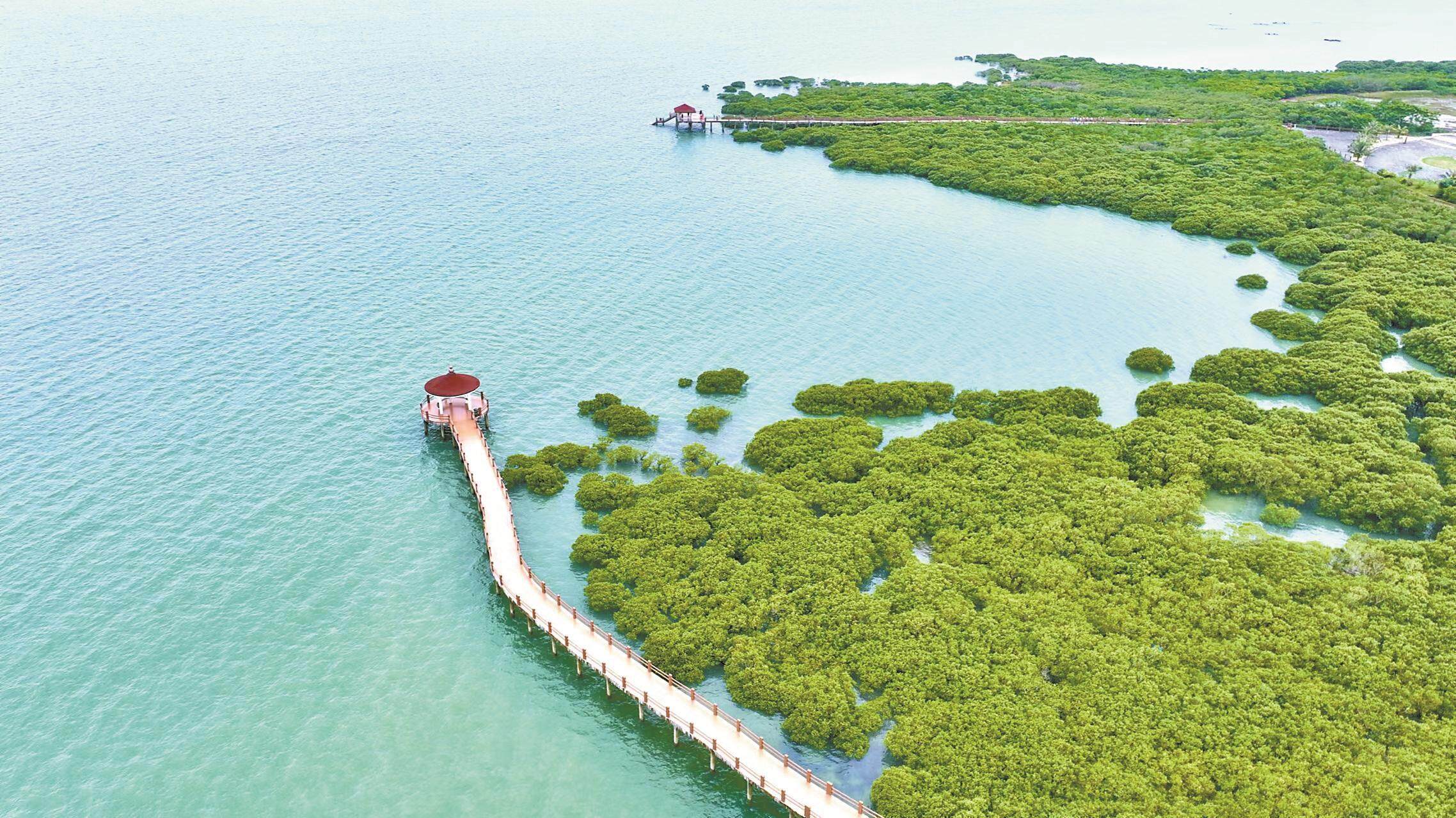 沈阳公园小白鞋