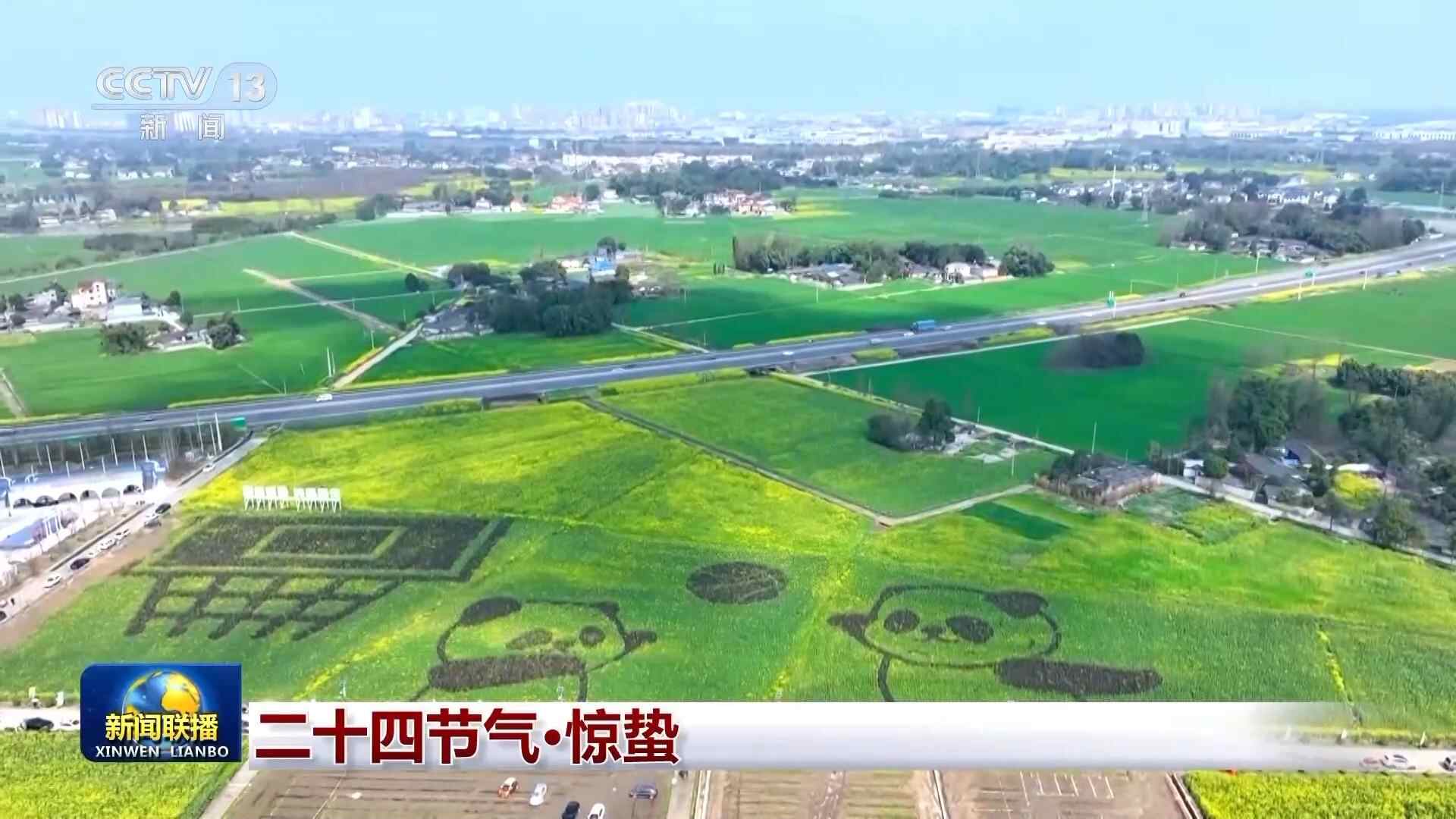 文化中国行丨二十四节气·惊蛰 春雷始鸣 万物蓬勃生发